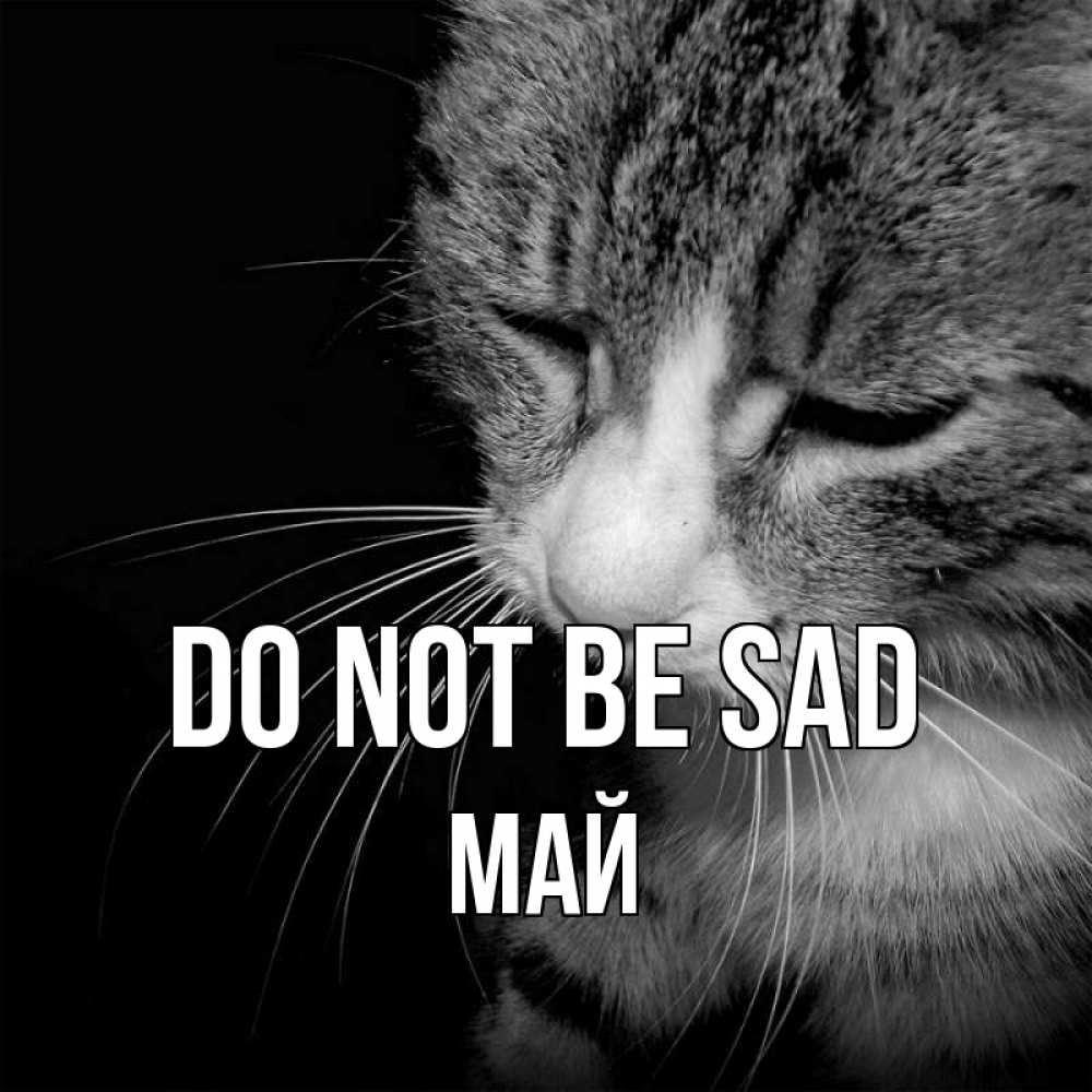 Greetings card с именем, Май Do not be sad грустный котик Greetings with text for free download 