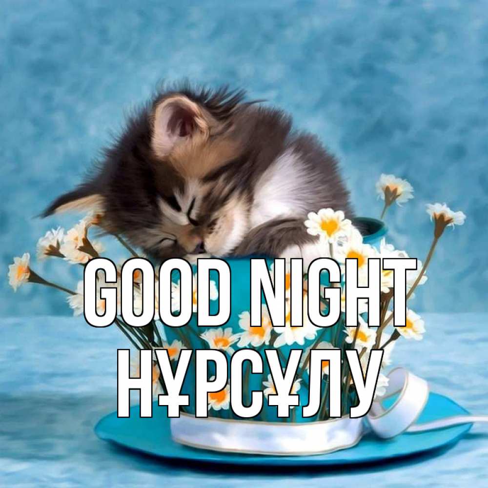 Greetings card с именем, НҰРСҰЛУ Good night котенок спит в кружке с блюдцем Greetings with text for free download 