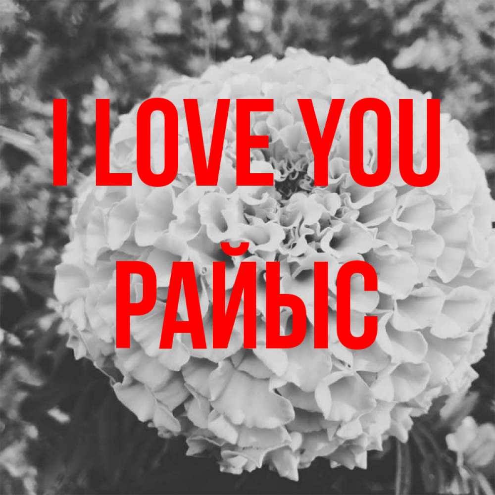 Greetings card с именем, РАЙЫС I love you подпись Greetings with text for free download 