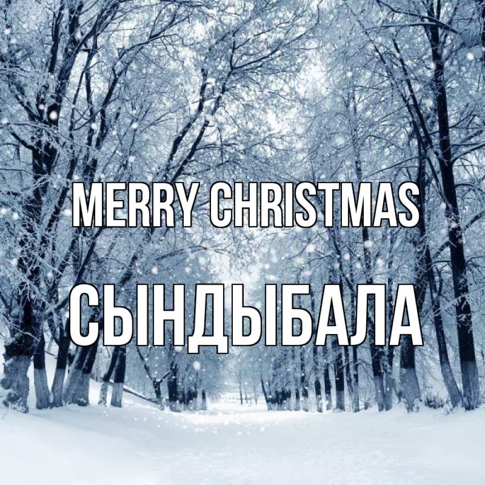 Greetings card с именем, СЫНДЫБАЛА Merry Christmas снег, лес, парк Greetings with text for free download 