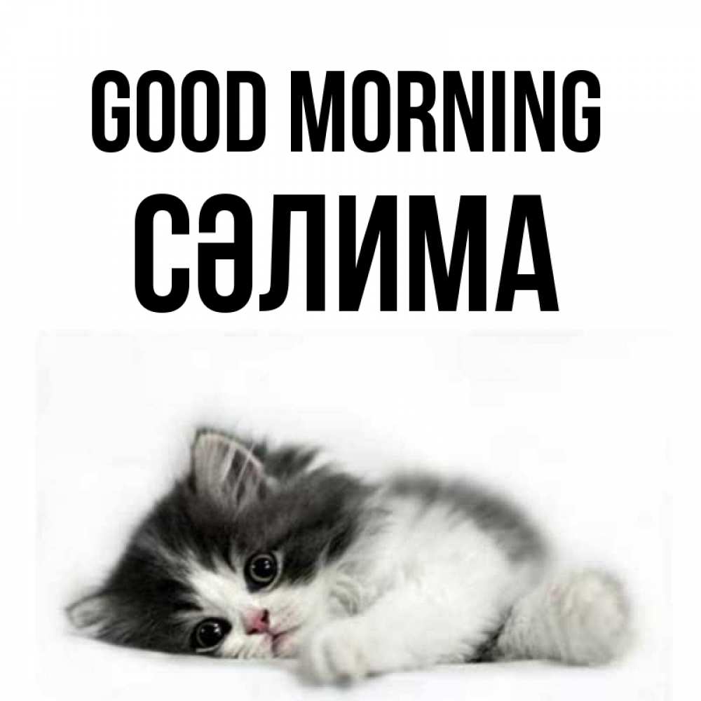 Greetings card с именем, СӘЛИМА Good morning кот лапки Greetings with text for free download 