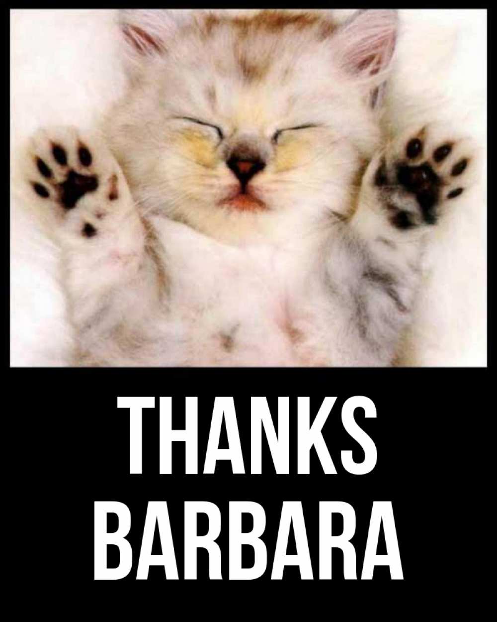 Greetings card с именем, Barbara Thanks маленький котенок Greetings with text for free download 