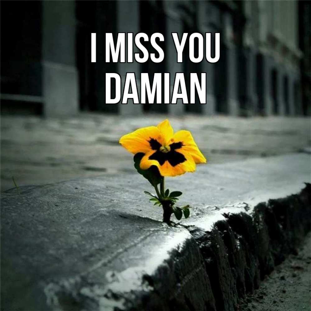 Greetings card с именем, Damian I miss you надеюсь будет лучше Greetings with text for free download 