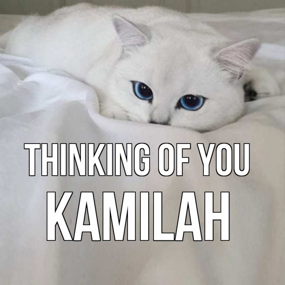 Greetings card с именем, Kamilah Thinking of you я очень по тебе скучаю и тоскую Greetings with text for free download 