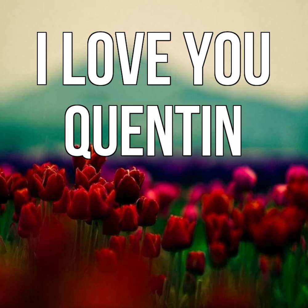 Greetings card с именем, Quentin I love you тюльпаны 4 Greetings with text for free download 