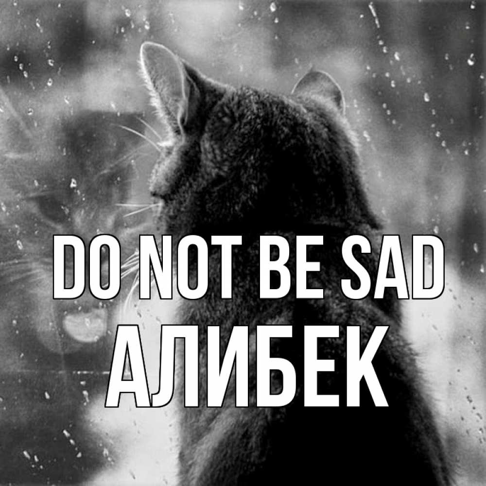 Greetings card с именем, Алибек Do not be sad отражение кота 1 Greetings with text for free download 