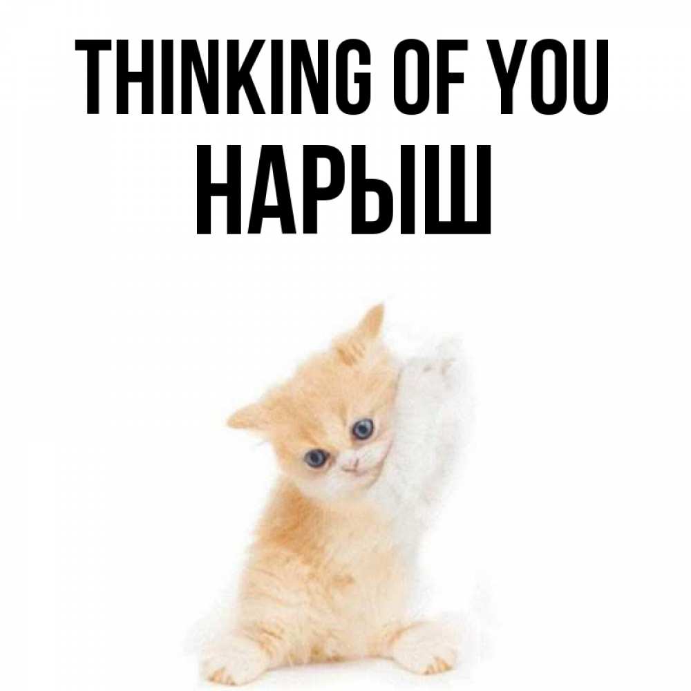 Greetings card с именем, Нарыш Thinking of you зверушки и милота Greetings with text for free download 