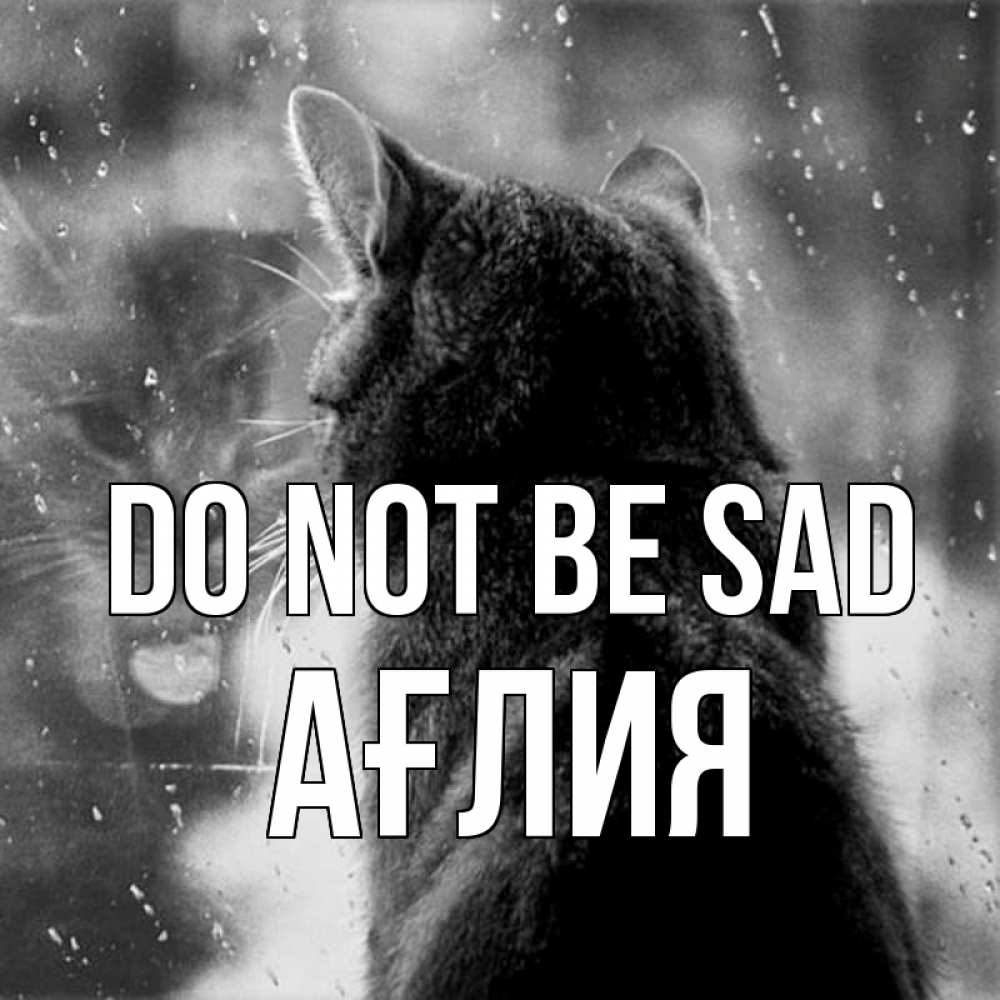 Greetings card с именем, АҒЛИЯ Do not be sad отражение кота 1 Greetings with text for free download 
