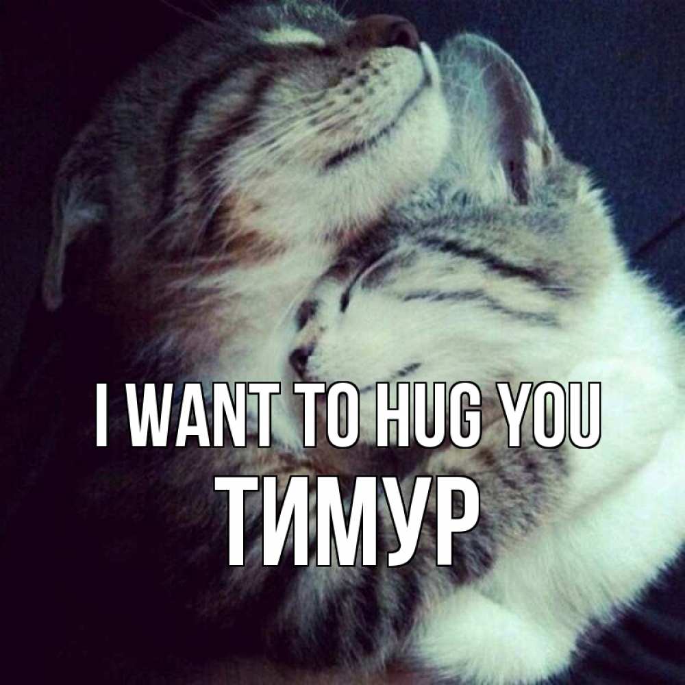 Greetings card с именем, Тимур I want to hug you полосатики Greetings with text for free download 