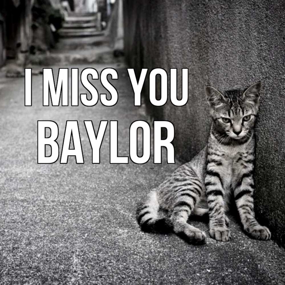 Greetings card с именем, Baylor I miss you одиноко котику Greetings with text for free download 