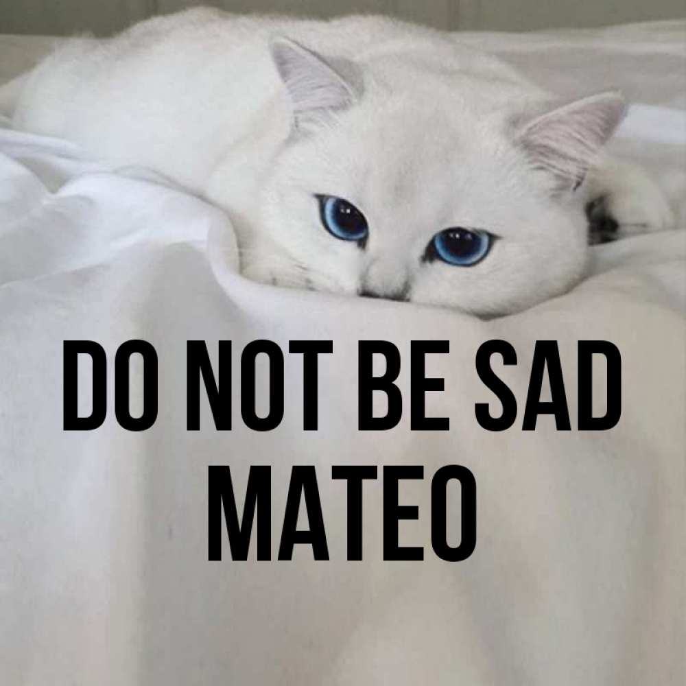 Greetings card с именем, Mateo Do not be sad Голубоглазая кошка Greetings with text for free download 