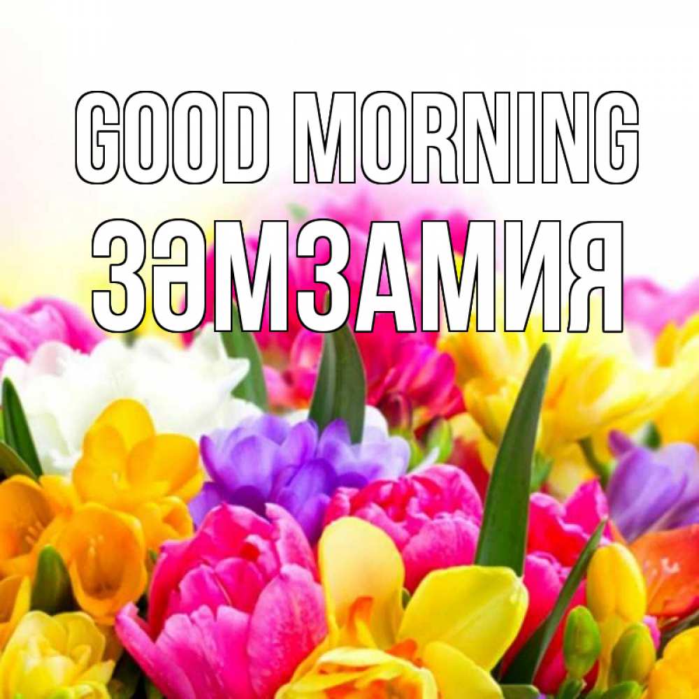 Greetings card с именем, ЗӘМЗАМИЯ Good morning создать открытку со свое подписью Greetings with text for free download 