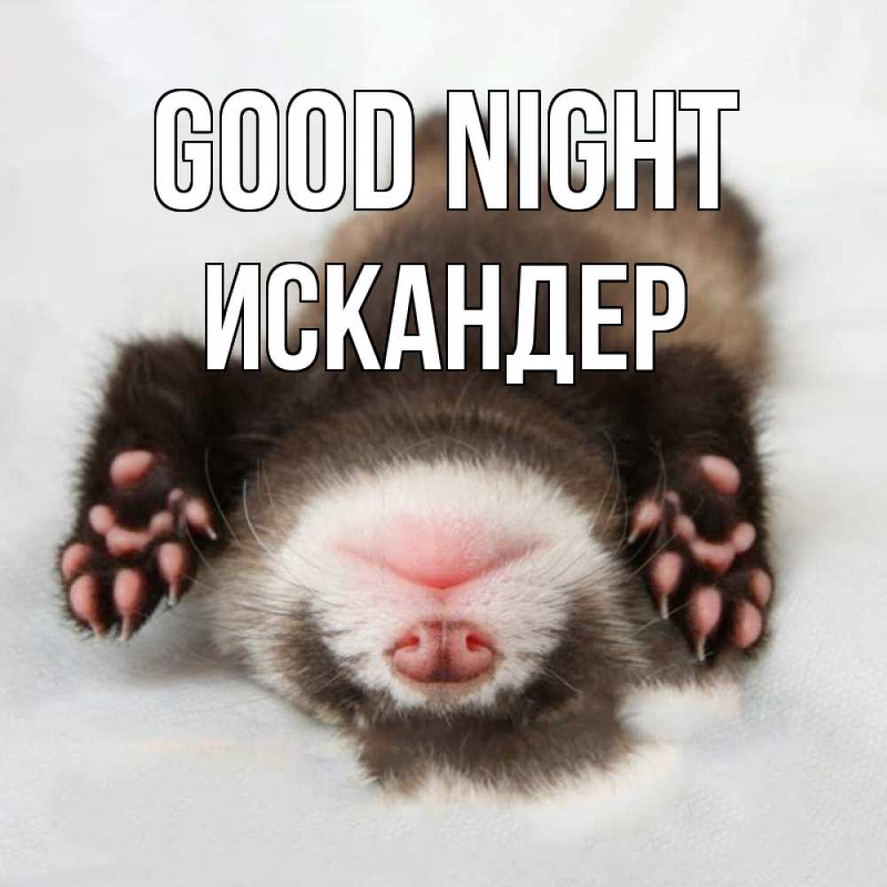 Greetings card с именем, Искандер Good night зверек Greetings with text for free download 