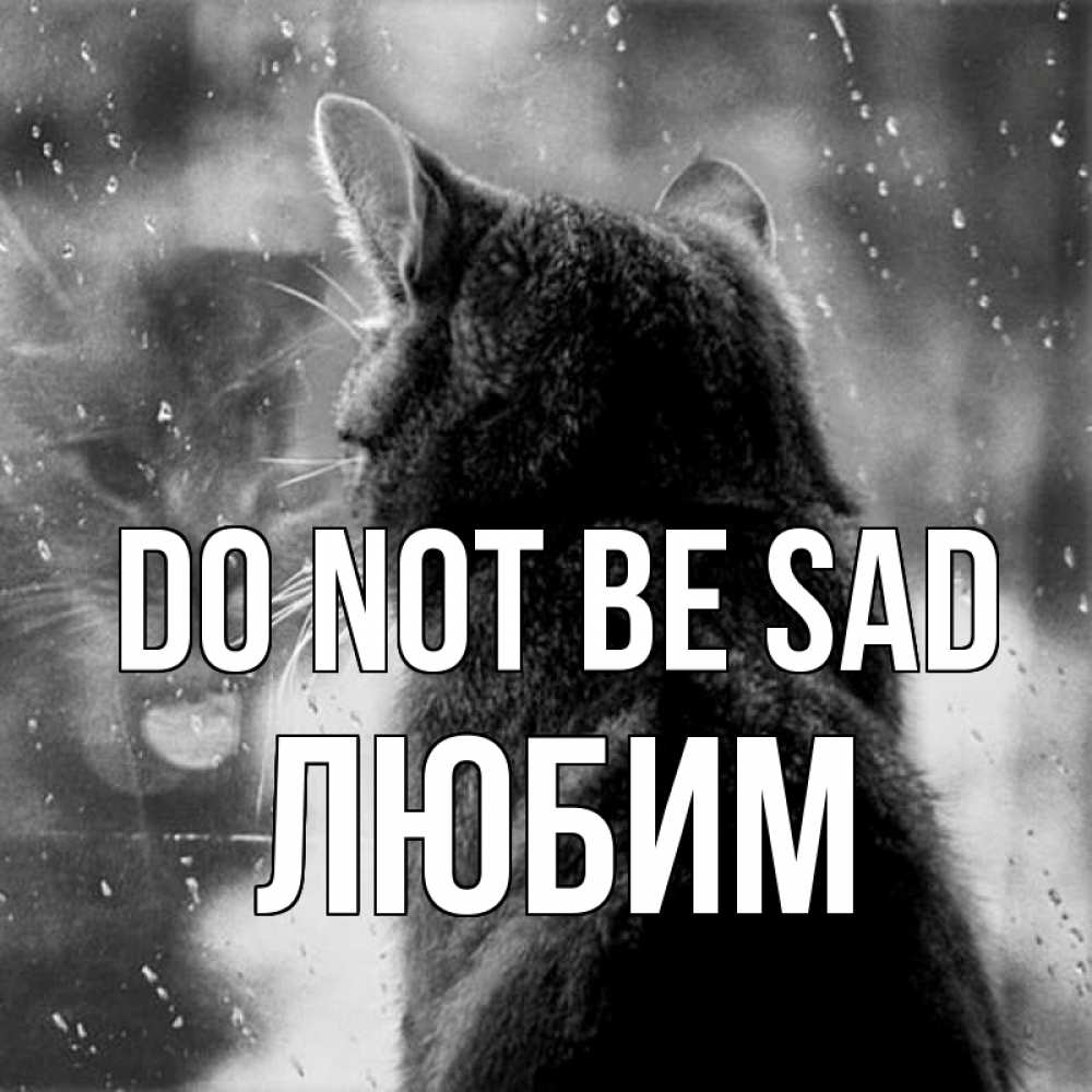 Greetings card с именем, Любим Do not be sad отражение кота 1 Greetings with text for free download 