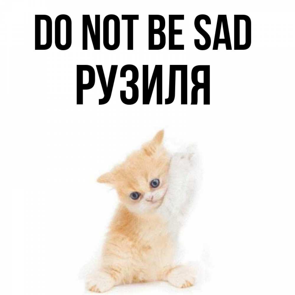 Greetings card с именем, Рузиля Do not be sad просящий кот Greetings with text for free download 