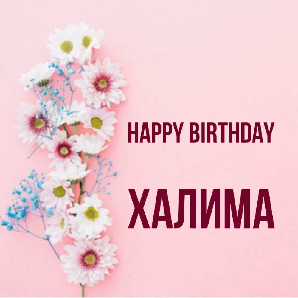 Greetings card с именем, ХАЛИМА Happy Birthday Родная моя с днем рождения тебя картинка с цветами белыми и голубыми Greetings with text for free download 