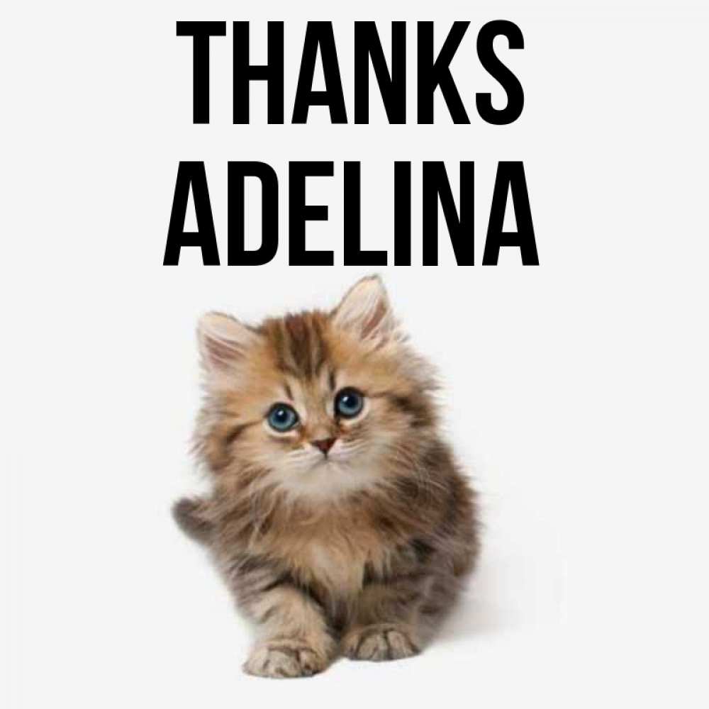 Greetings card с именем, Adelina Thanks пушистый котик Greetings with text for free download 