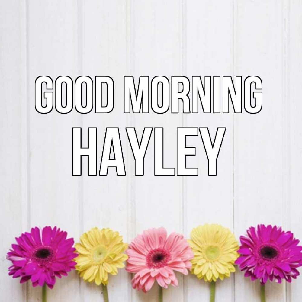 Greetings card с именем, Hayley Good morning красный желтый и розовый цветок Greetings with text for free download 