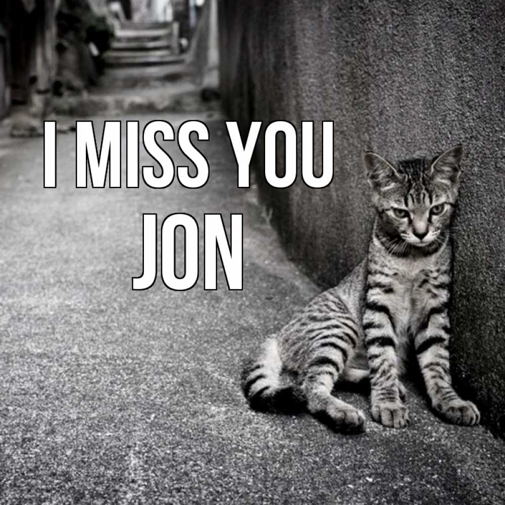 Greetings card с именем, Jon I miss you одиноко котику Greetings with text for free download 