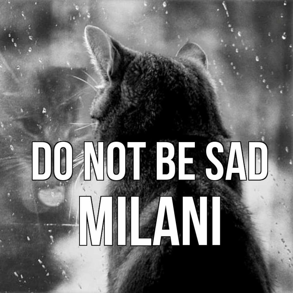 Greetings card с именем, Milani Do not be sad отражение кота 1 Greetings with text for free download 