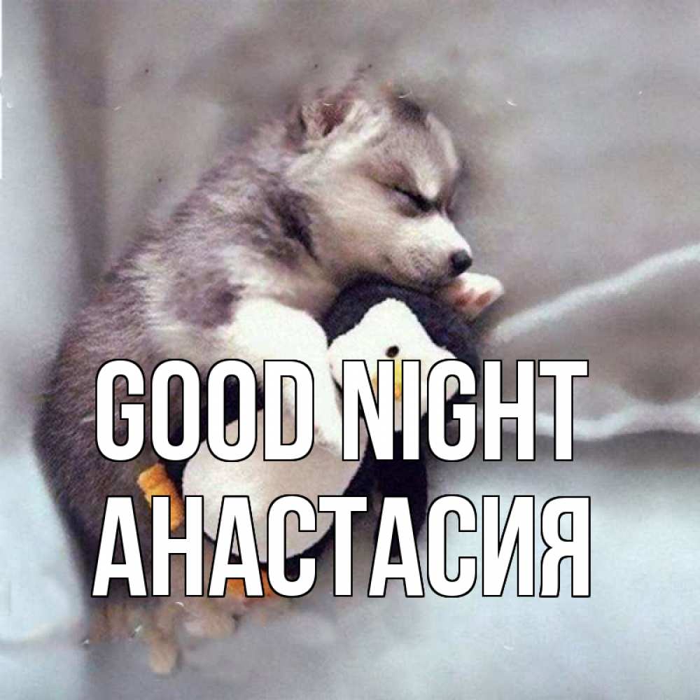 Greetings card с именем, Анастасия Good night обнимашки щенка и пингвина Greetings with text for free download 
