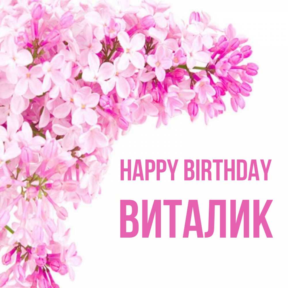 Greetings card с именем, Виталик Happy Birthday Сирень на белом фоне Greetings with text for free download 