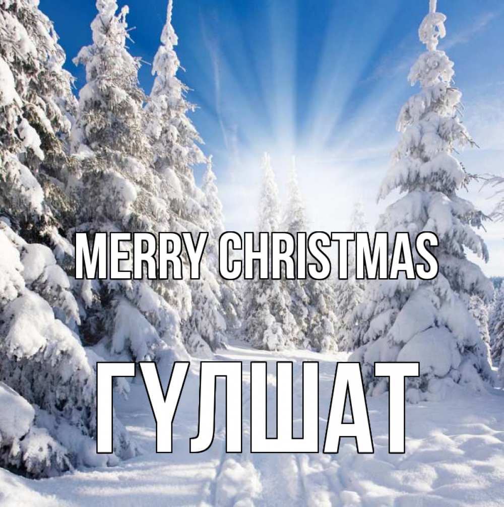Greetings card с именем, ГҮЛШАТ Merry Christmas зима, лес Greetings with text for free download 