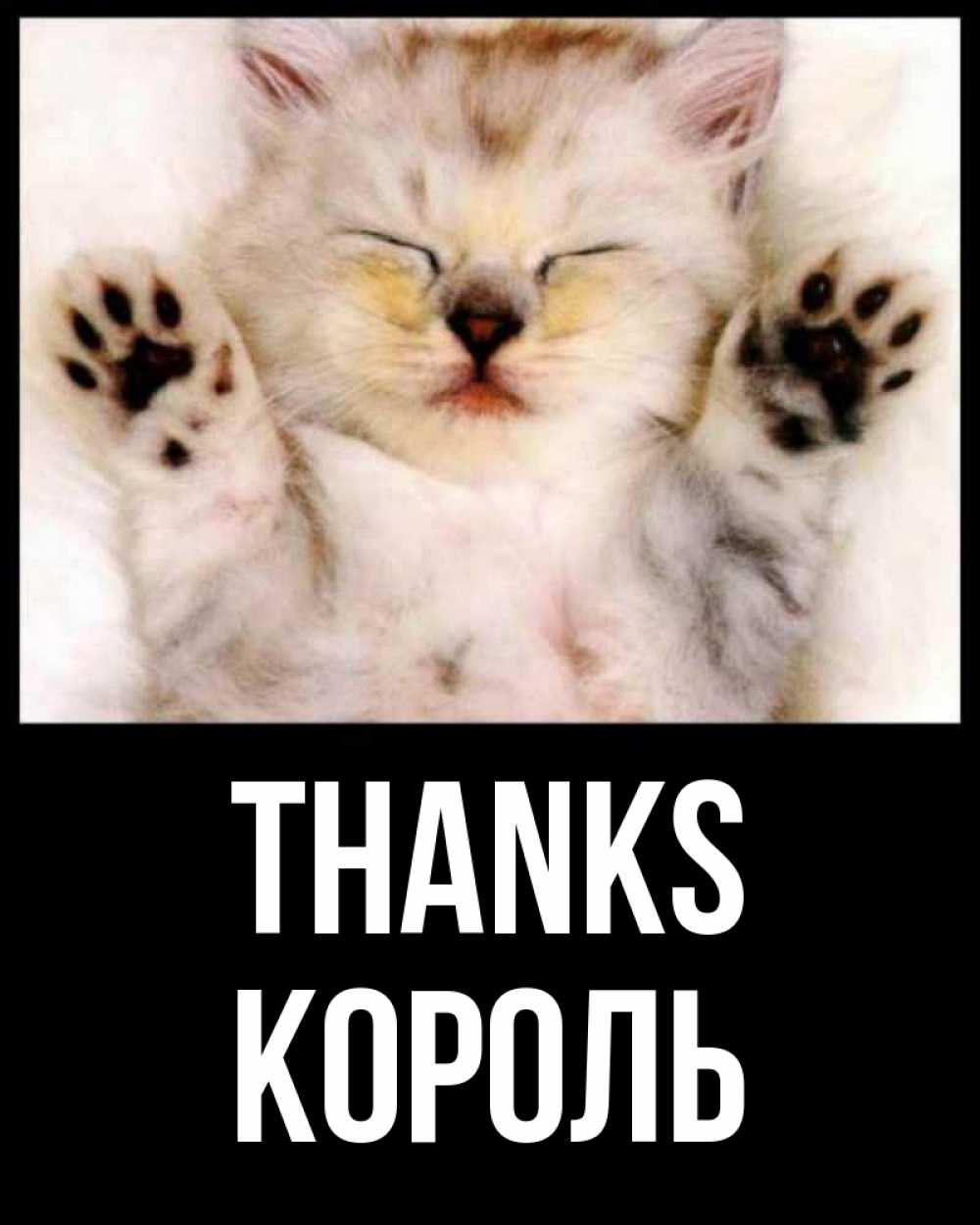 Greetings card с именем, Король Thanks маленький котенок Greetings with text for free download 
