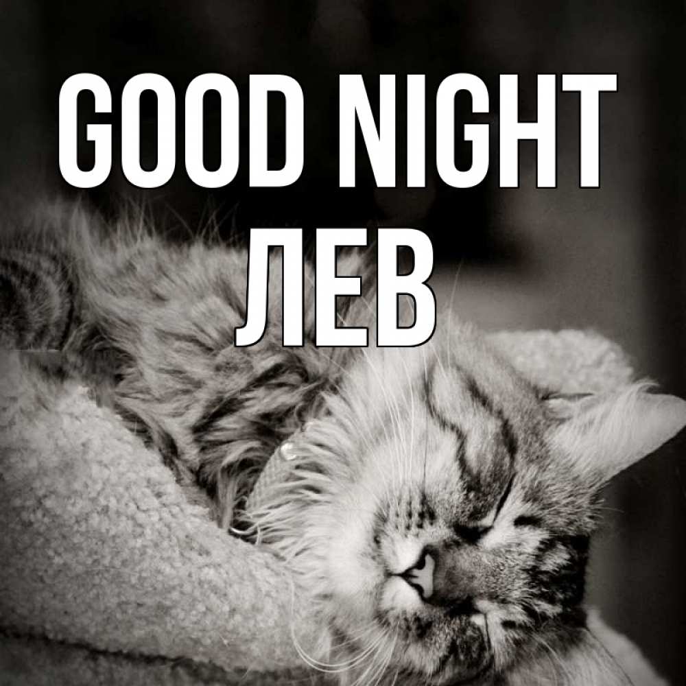 Greetings card с именем, Лев Good night котярик пушистый Greetings with text for free download 