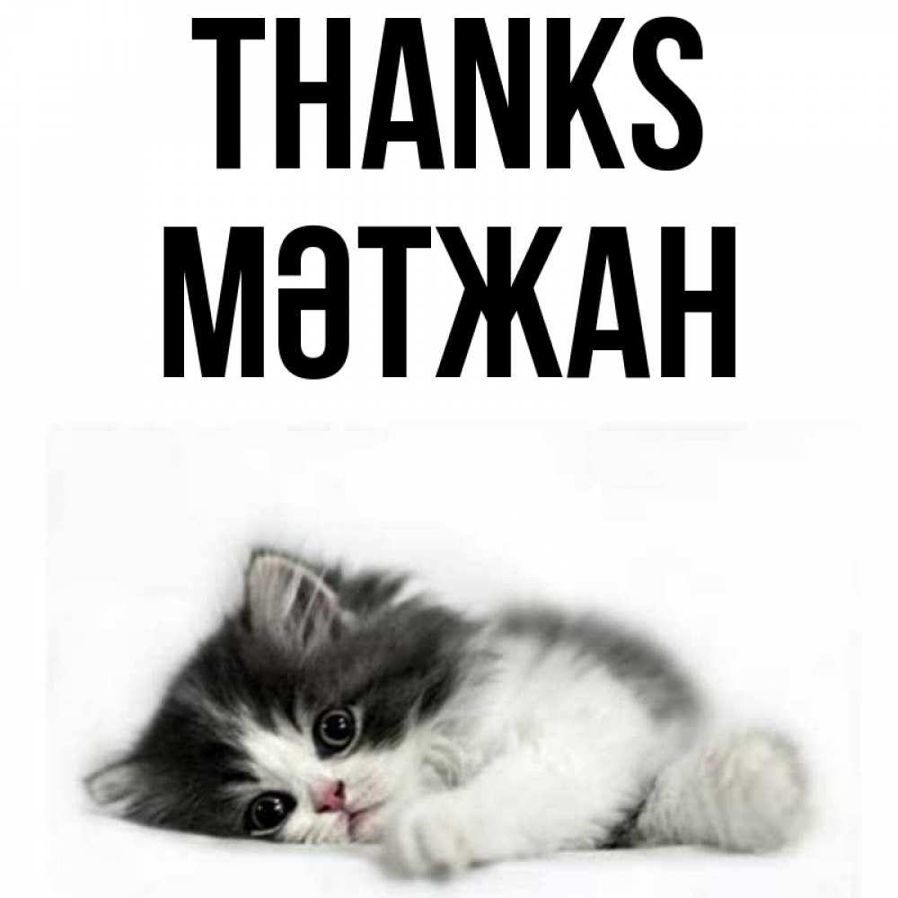 Greetings card с именем, МӘТЖАН Thanks черный и белый кот Greetings with text for free download 