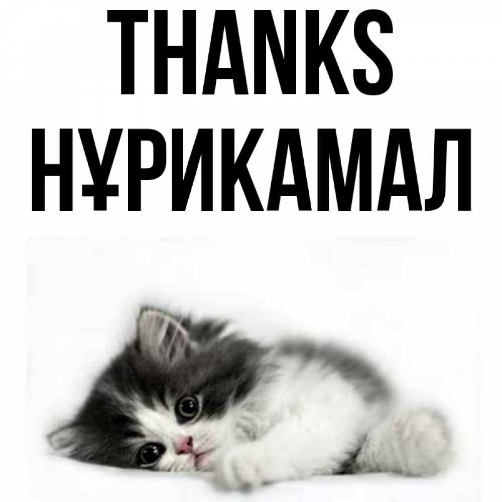 Greetings card с именем, НҰРИКАМАЛ Thanks черный и белый кот Greetings with text for free download 