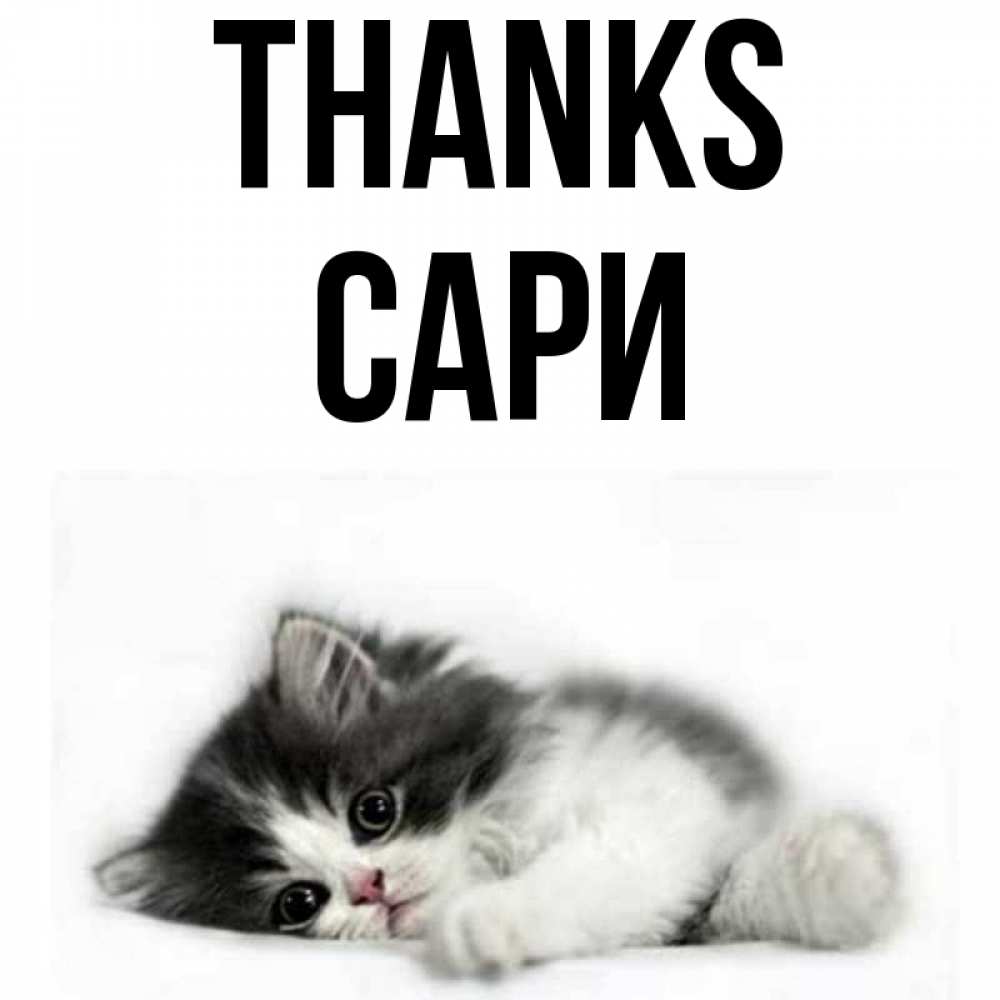 Greetings card с именем, САРИ Thanks черный и белый кот Greetings with text for free download 