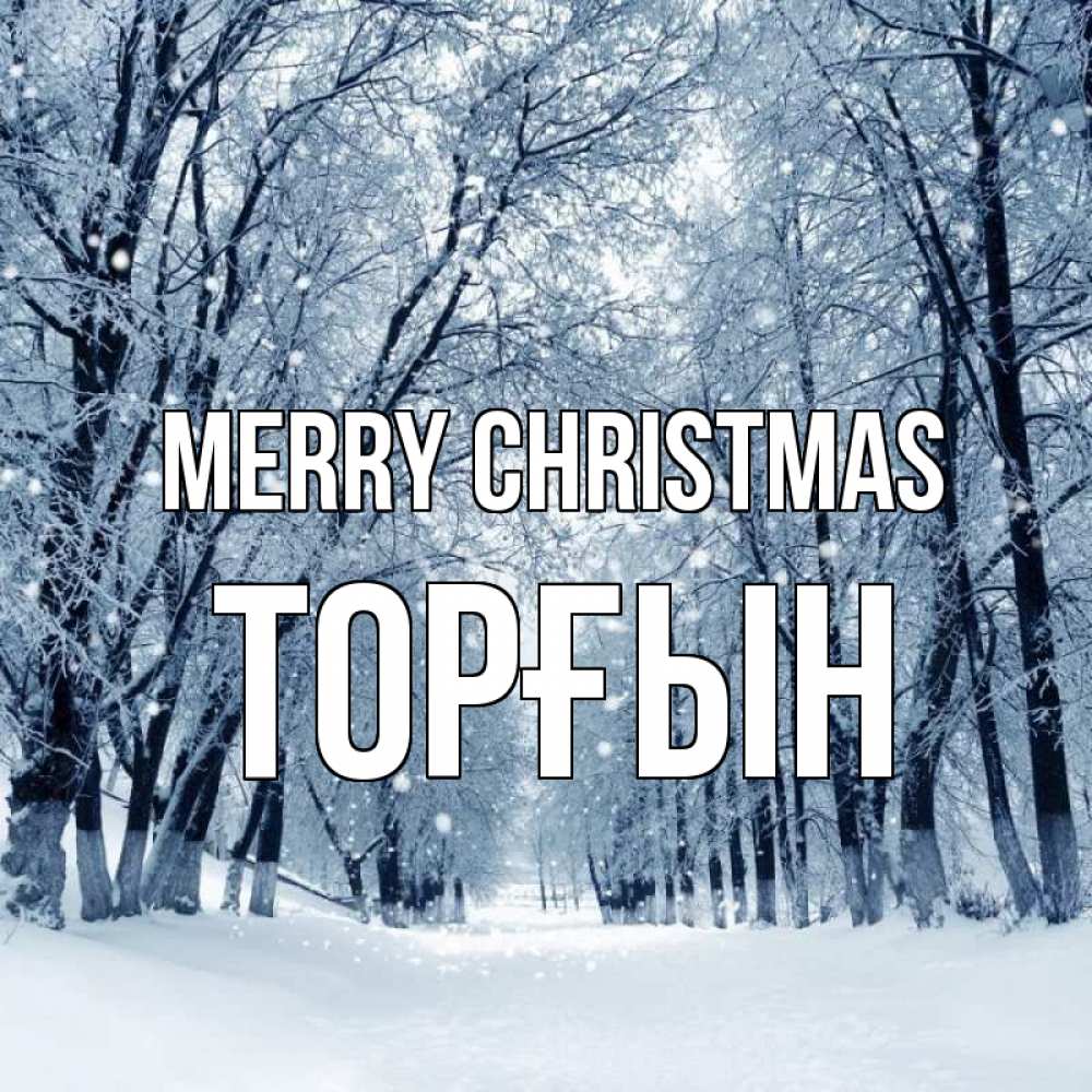 Greetings card с именем, ТОРҒЫН Merry Christmas снег, лес, парк Greetings with text for free download 