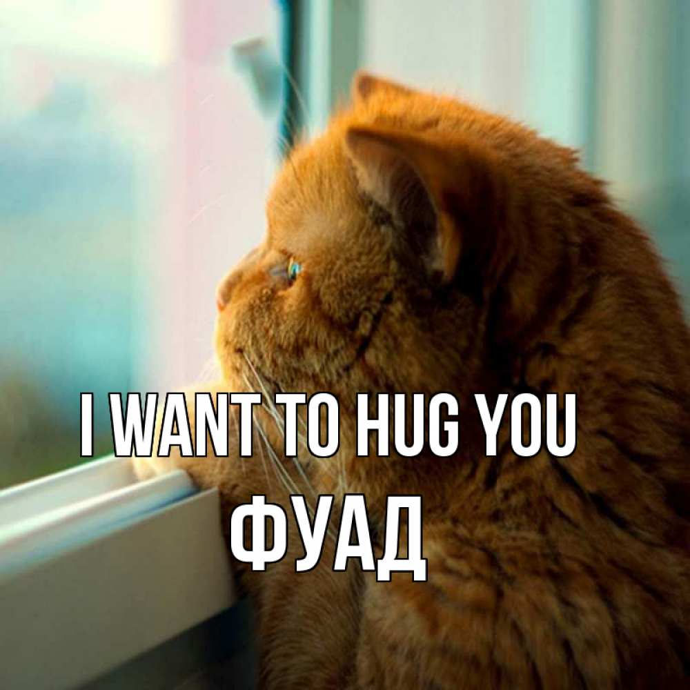 Greetings card с именем, Фуад I want to hug you большой огромный рыжий котяра Greetings with text for free download 