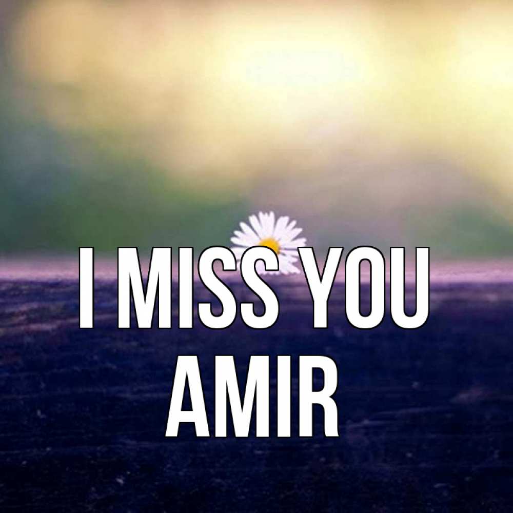 Greetings card с именем, Amir I miss you приходи в гости Greetings with text for free download 