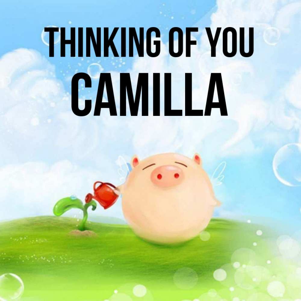 Greetings card с именем, Camilla Thinking of you позитивная свинюшка Greetings with text for free download 