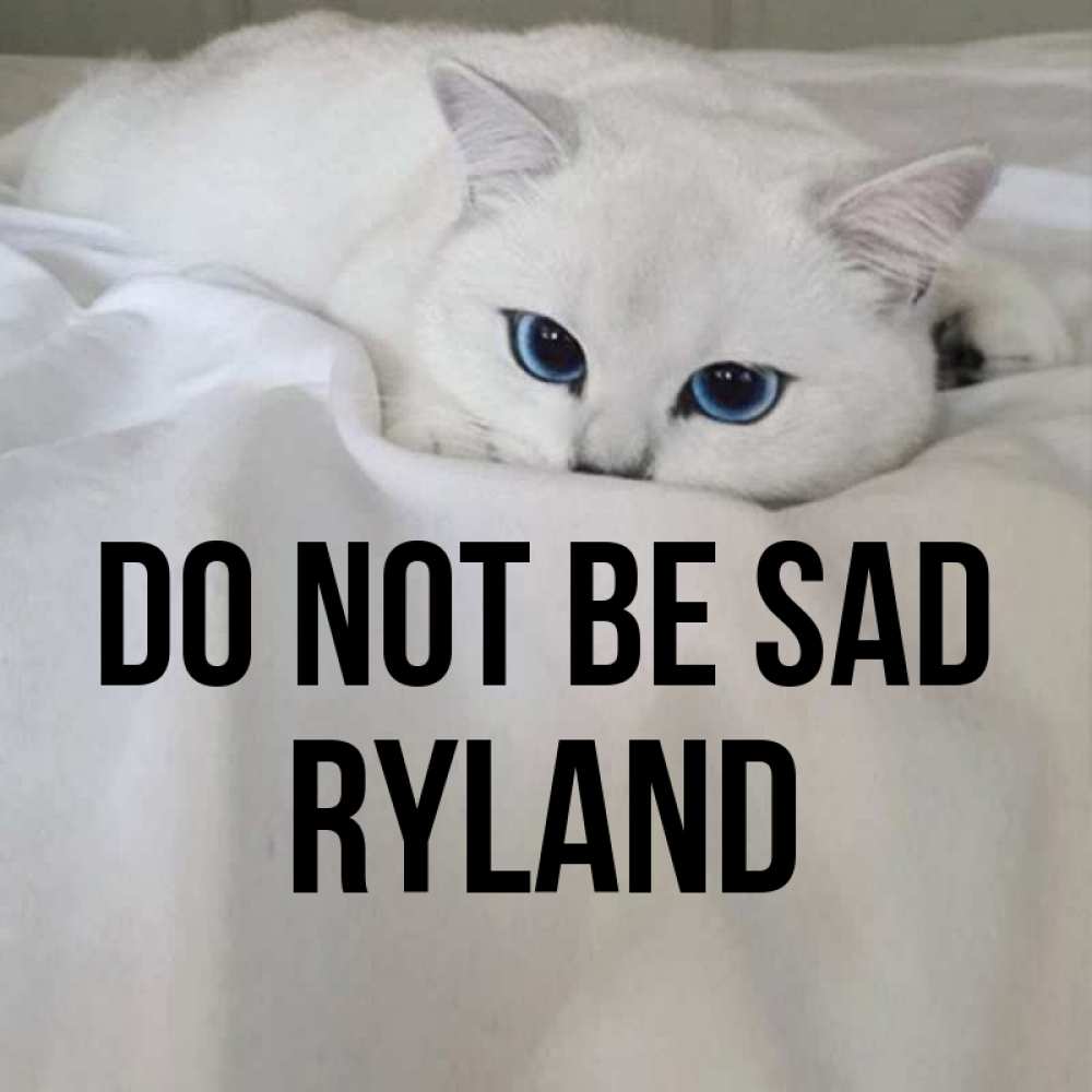 Greetings card с именем, Ryland Do not be sad Голубоглазая кошка Greetings with text for free download 