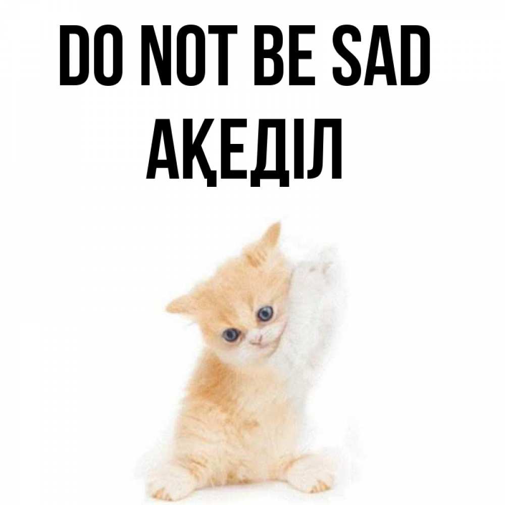 Greetings card с именем, Ақеділ Do not be sad просящий кот Greetings with text for free download 