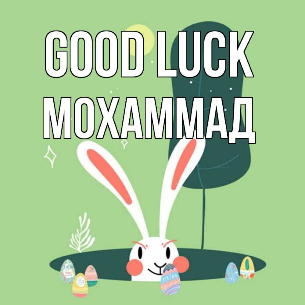 Greetings card с именем, Мохаммад Good luck заяц Greetings with text for free download 