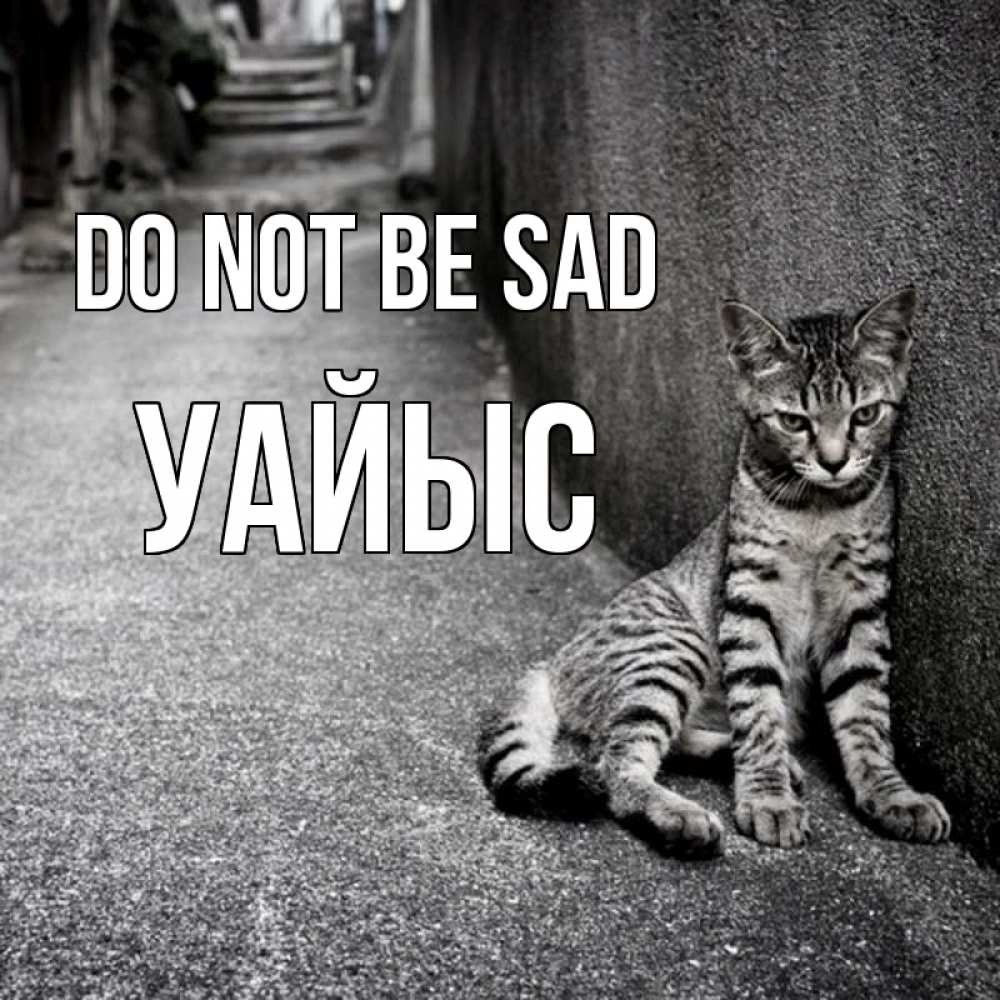 Greetings card с именем, УАЙЫС Do not be sad скучающий котик Greetings with text for free download 