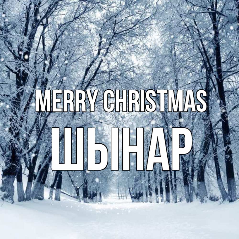 Greetings card с именем, ШЫНАР Merry Christmas снег, лес, парк Greetings with text for free download 