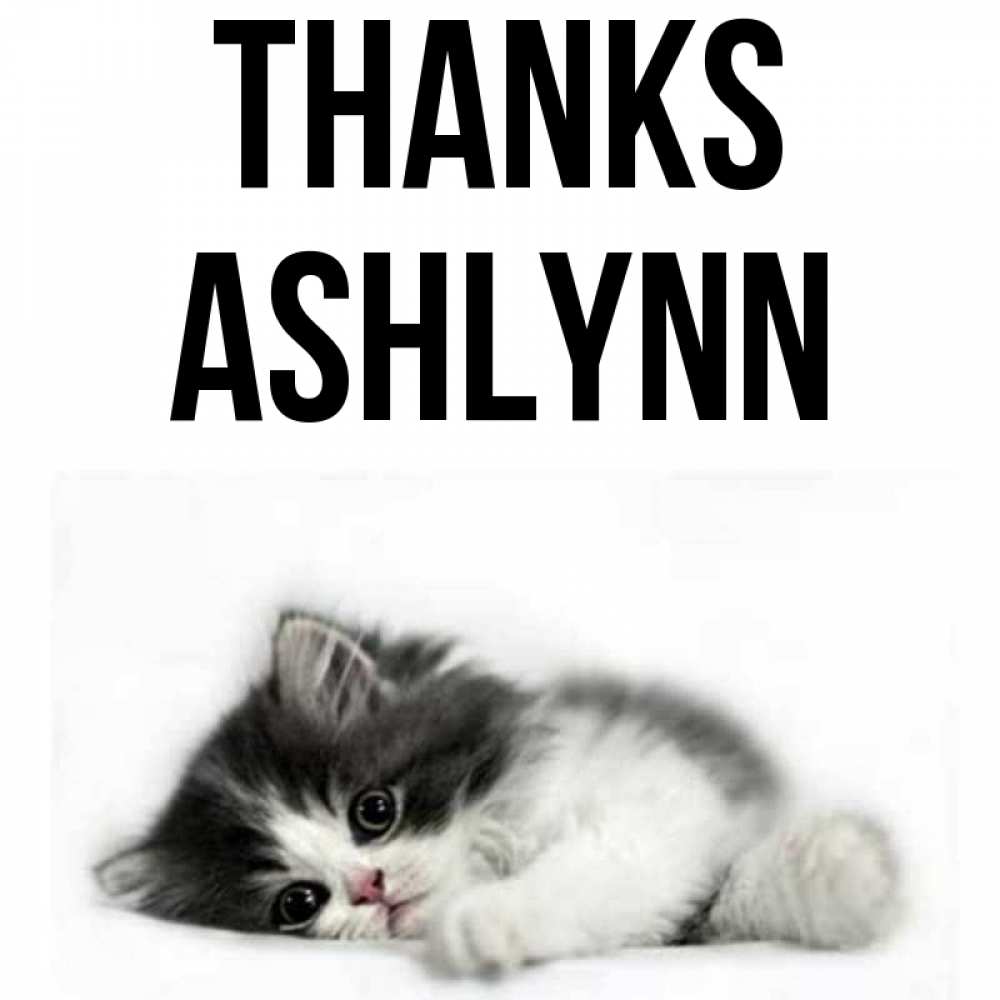 Greetings card с именем, Ashlynn Thanks черный и белый кот Greetings with text for free download 