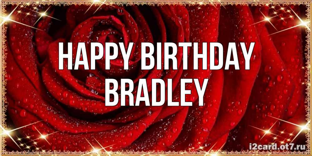 Greetings card с именем, Bradley Happy Birthday роса на розе блестящая в лучах солнца Greetings with text for free download 