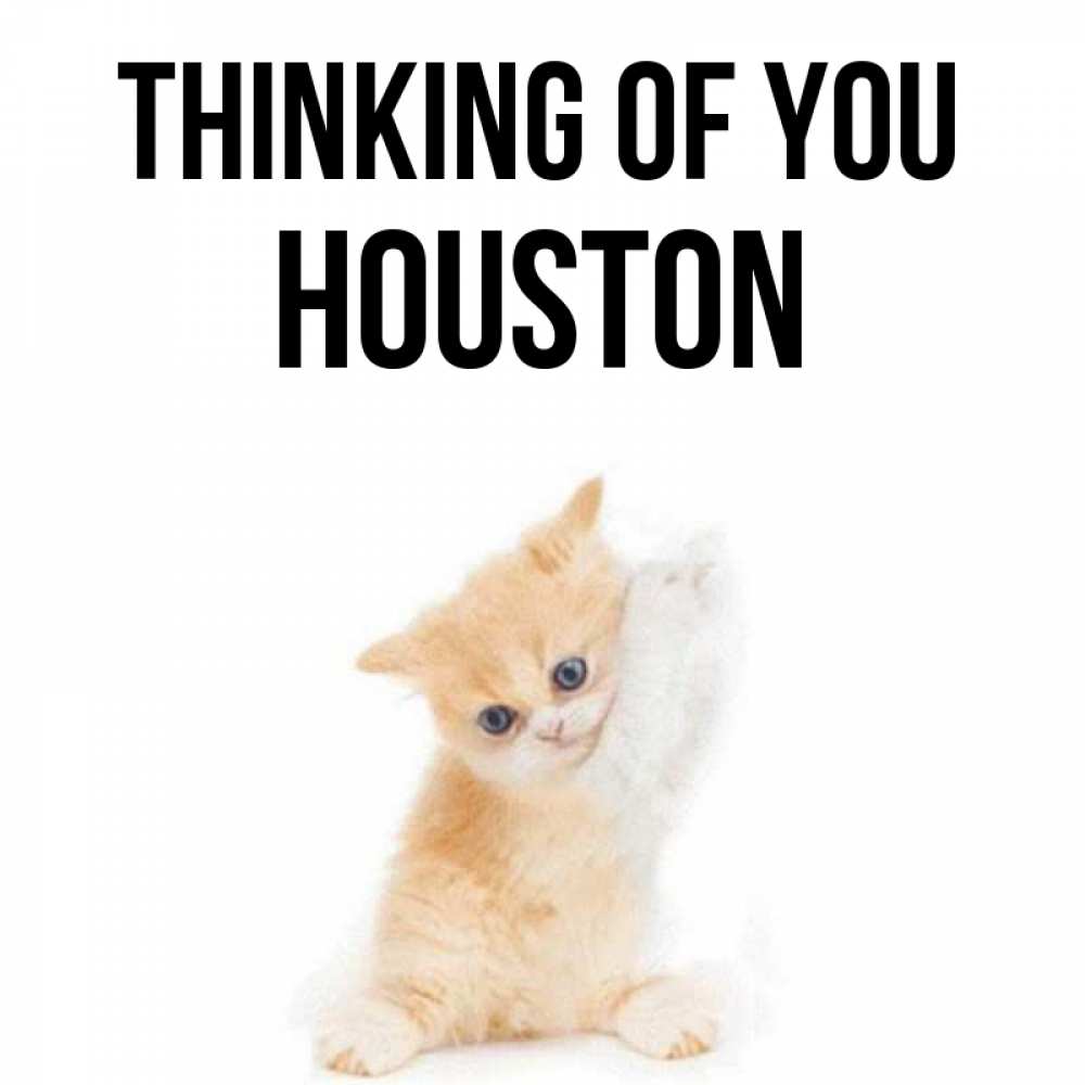 Greetings card с именем, Houston Thinking of you зверушки и милота Greetings with text for free download 