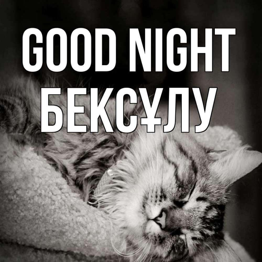 Greetings card с именем, БЕКСҰЛУ Good night котярик пушистый Greetings with text for free download 