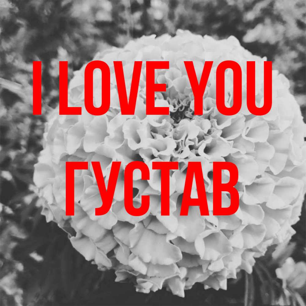 Greetings card с именем, Густав I love you подпись Greetings with text for free download 