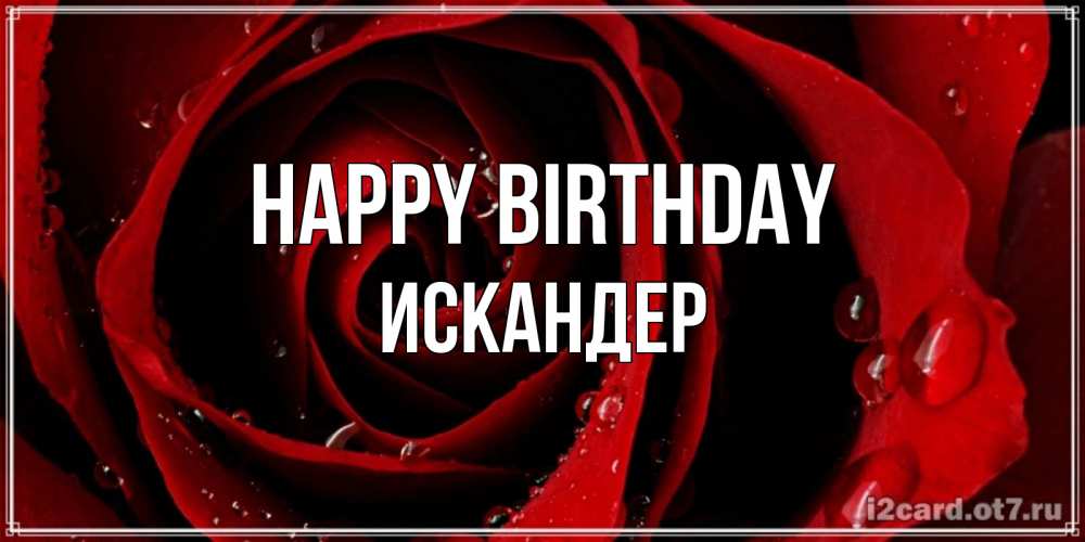 Greetings card с именем, Искандер Happy Birthday крупная бордовая роза Greetings with text for free download 