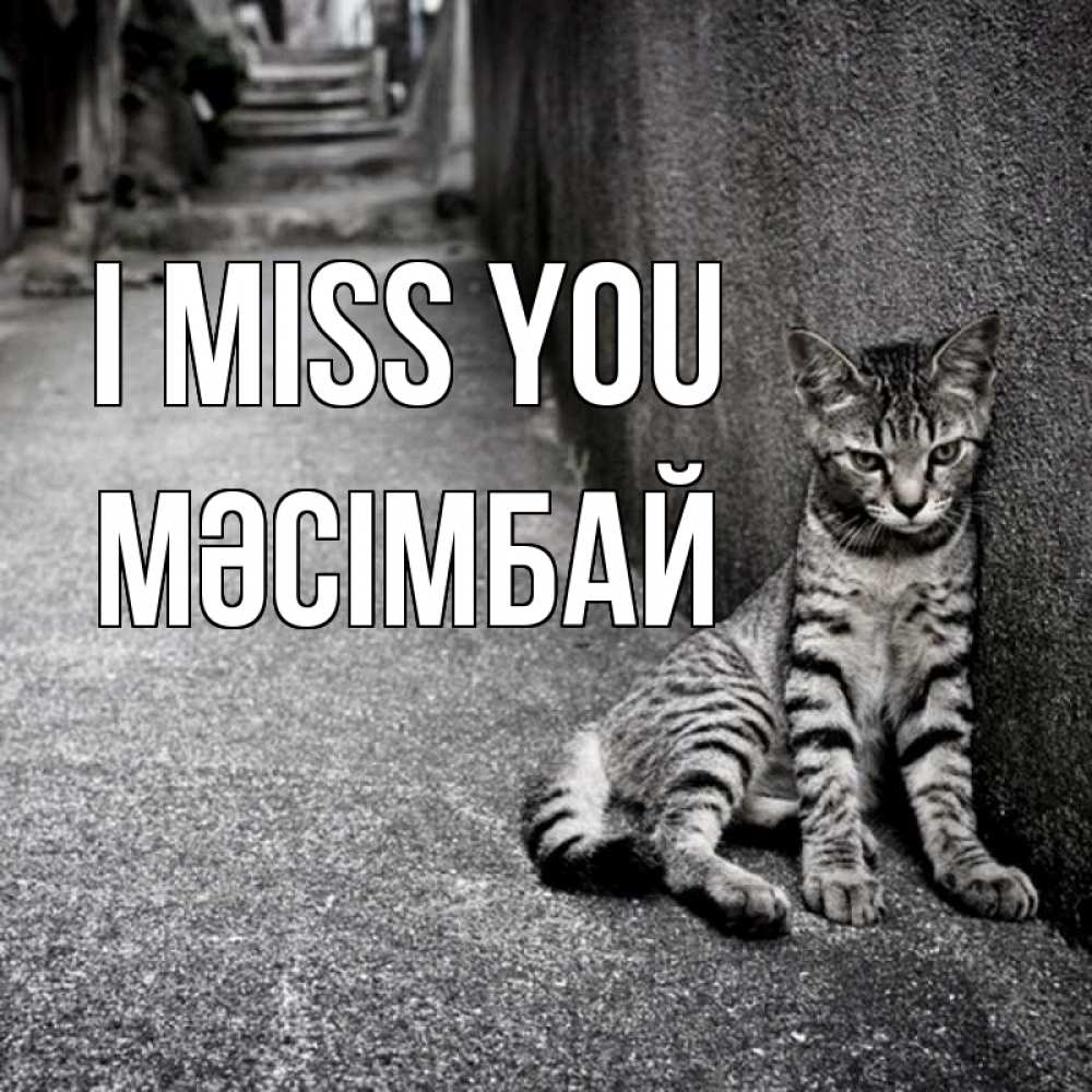 Greetings card с именем, МӘСІМБАЙ I miss you одиноко котику Greetings with text for free download 