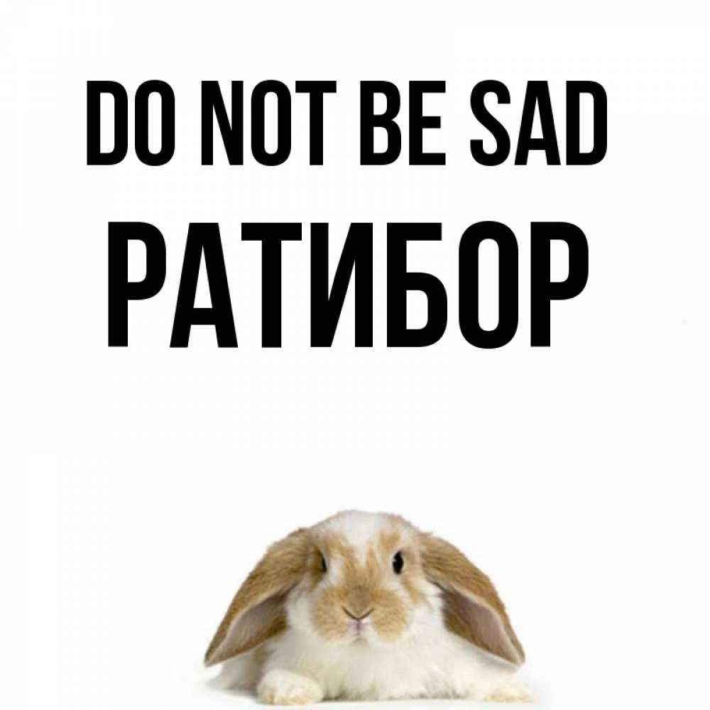 Greetings card с именем, Ратибор Do not be sad коричнево белый заяц с большими ушками Greetings with text for free download 