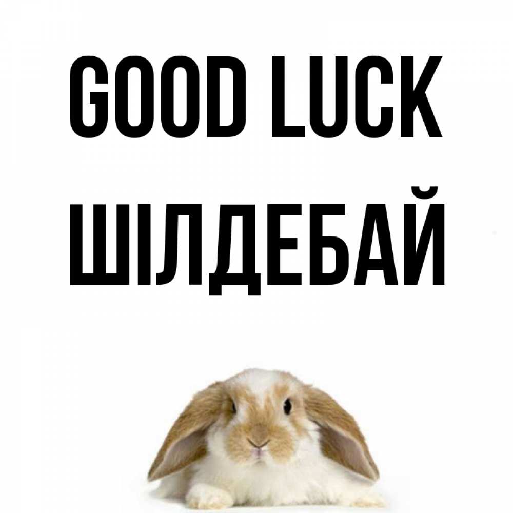 Greetings card с именем, ШІЛДЕБАЙ Good luck открытки с произвольным текстом который можно вставить в открытку и создать ее самостоятельно бесплатно онлайн Greetings with text for free download 